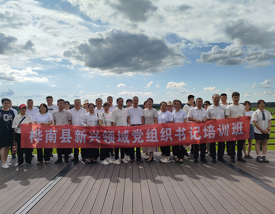 2025.7.14桦南县新兴领域党组织书记培训班